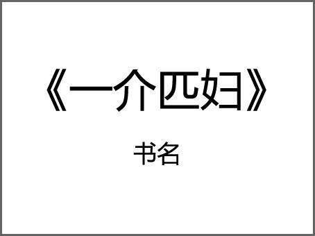 一介匹妇（豪门世家类网络小说）