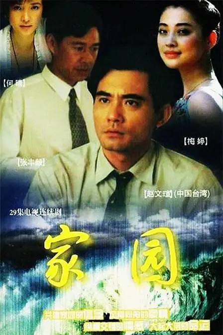 家园（1999年李耀光、郑华执导电视剧）