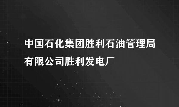 中国石化集团胜利石油管理局有限公司胜利发电厂