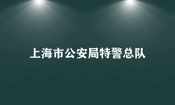 上海市公安局特警总队