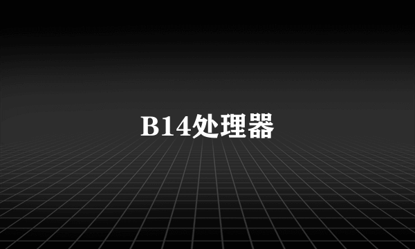 B14处理器