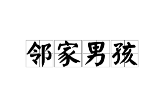 邻家男孩（词语）