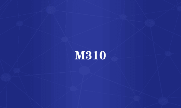 M310