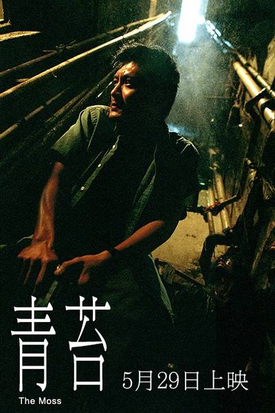 青苔（中国香港2008年郭子健执导电影）