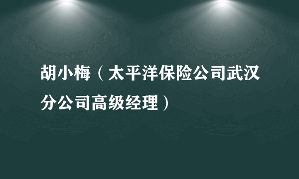 胡小梅（太平洋保险公司武汉分公司高级经理）