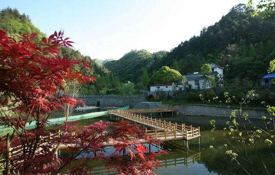 逍遥谷（广东旅游景区）