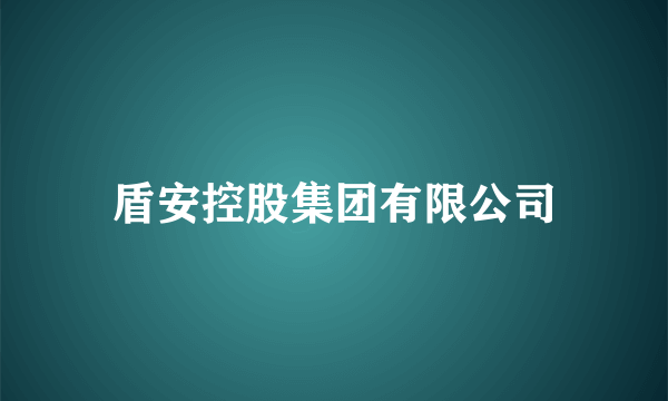 盾安控股集团有限公司