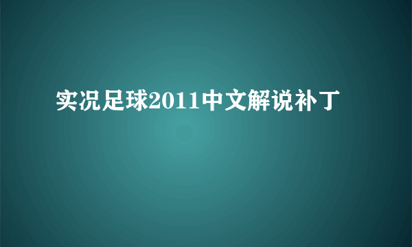 实况足球2011中文解说补丁