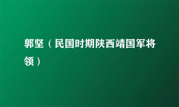 郭坚（民国时期陕西靖国军将领）