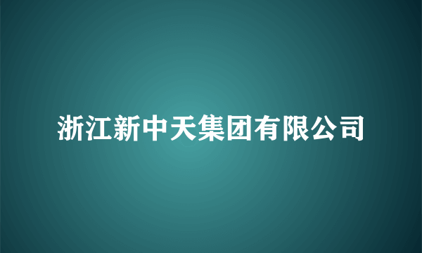 浙江新中天集团有限公司