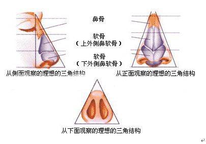 鼻子整形