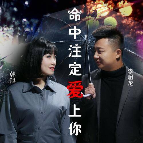 命中注定爱上你（李超龙、小韩旭演唱歌曲）