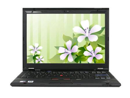 thinkpad x301