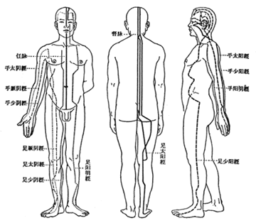 经络学（人体经络与穴位的学科）