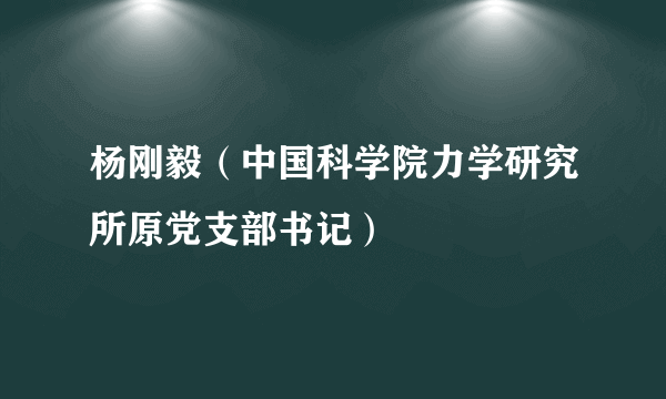 杨刚毅（中国科学院力学研究所原党支部书记）