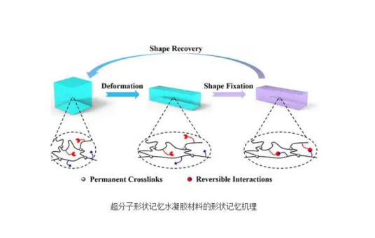 高分子形状记忆材料