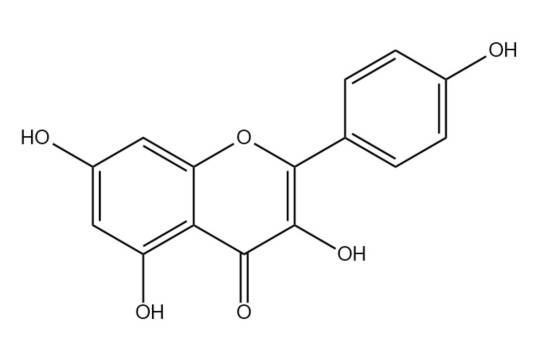 山柰酚