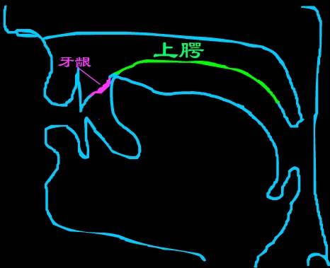 平舌音翘舌音