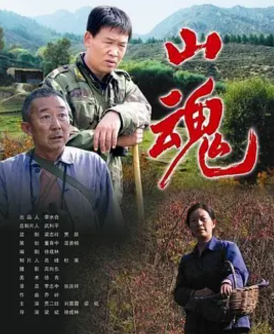 山魂（2007年1月1日徐成林、梁斌执导的剧情电影）