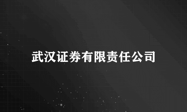 武汉证券有限责任公司