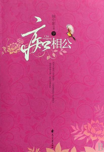 痴相公（2009年花山文艺出版社出版的图书）