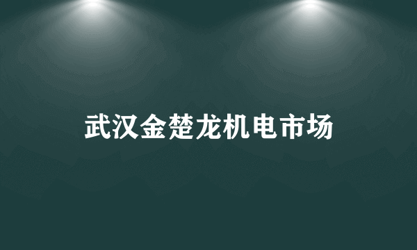 武汉金楚龙机电市场