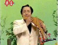 杜冲（中国演奏家）