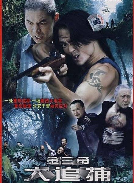 大追捕（2009年中国内地电视剧）