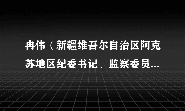 冉伟（新疆维吾尔自治区阿克苏地区纪委书记、监察委员会主任）