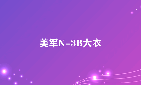 美军N-3B大衣