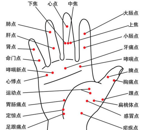 手掌全息反应