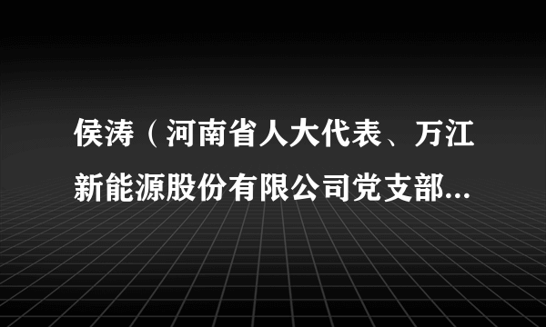 侯涛（河南省人大代表、万江新能源股份有限公司党支部书记、副董事长、总裁）