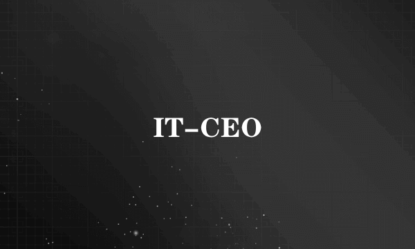 IT-CEO