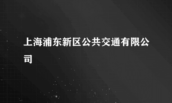 上海浦东新区公共交通有限公司