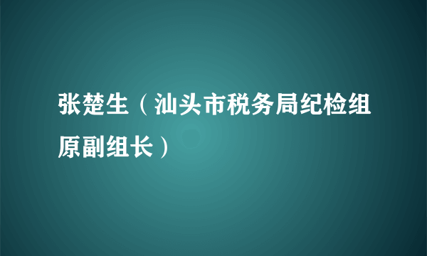 张楚生（汕头市税务局纪检组原副组长）