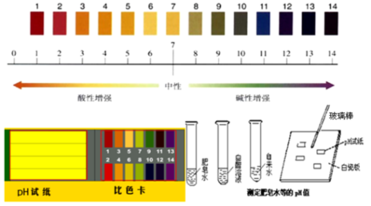 溶液的酸碱性与pH值