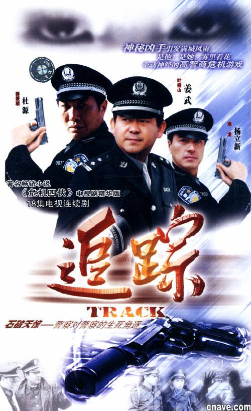 追踪（2004年李自人执导的悬疑电视剧）