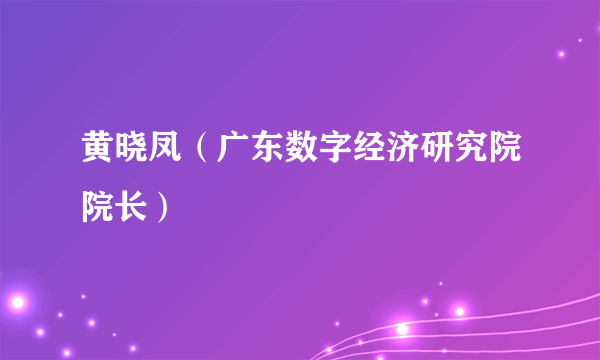 黄晓凤（广东数字经济研究院院长）