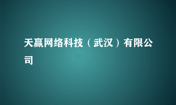 天赢网络科技（武汉）有限公司