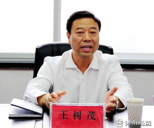 王树茂（河南省高级人民法院原副院长）