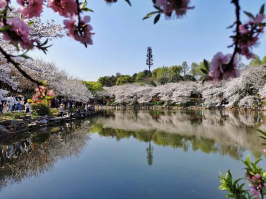 湖南省森林植物园