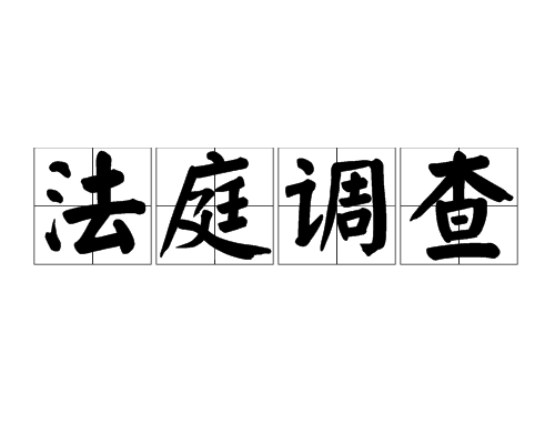 法庭调查