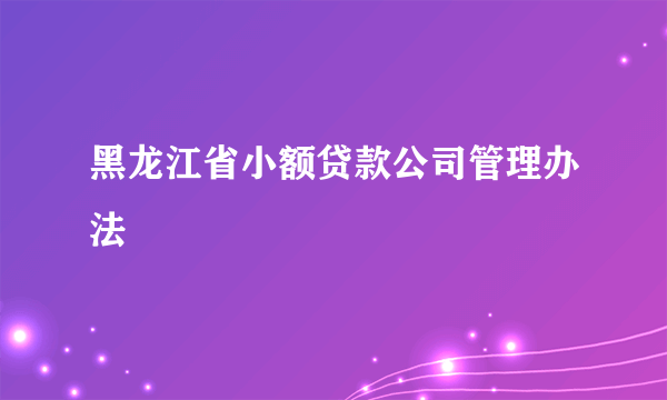 黑龙江省小额贷款公司管理办法