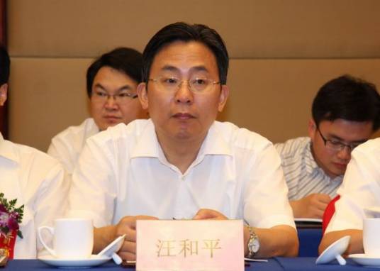 汪和平（安徽省池州市委常委、宣传部部长）