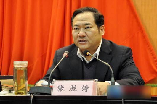 张胜涛（安阳市人民政府原副市长）