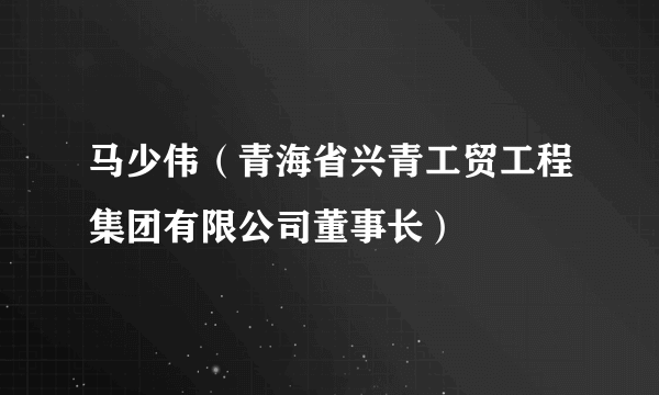 马少伟（青海省兴青工贸工程集团有限公司董事长）