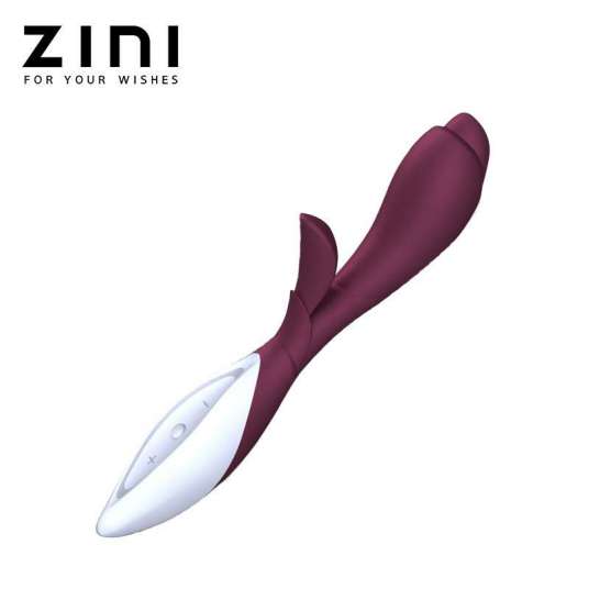 ZINI