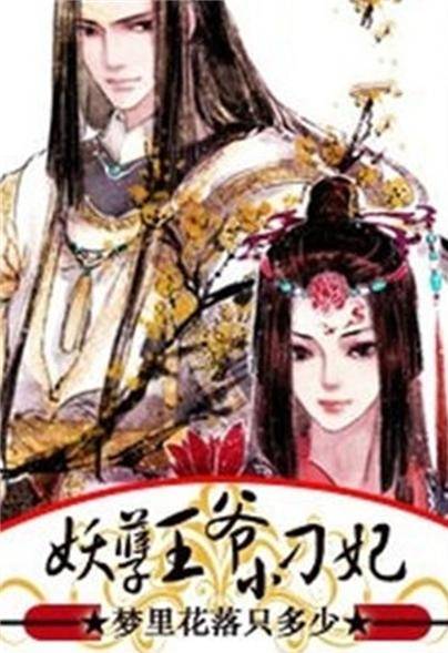 妖孽王爷小刁妃（梦里花落只多少创作的网络小说）