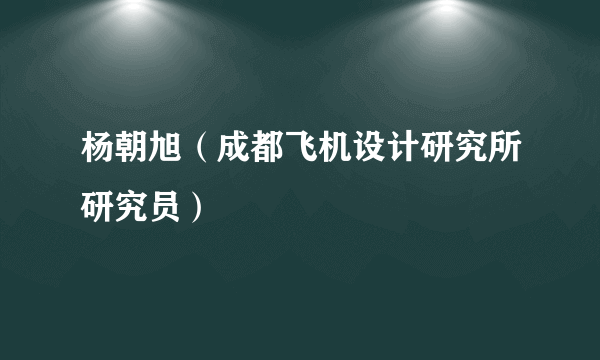 杨朝旭（成都飞机设计研究所研究员）