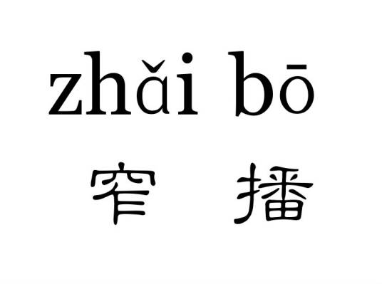 窄播（传播学名词）